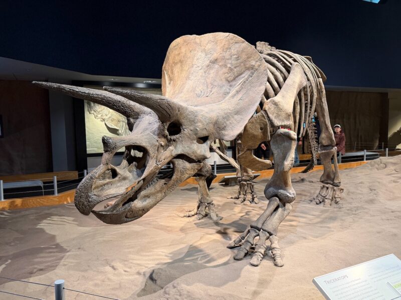 PlanetSKI Heads to Dinosaur Country